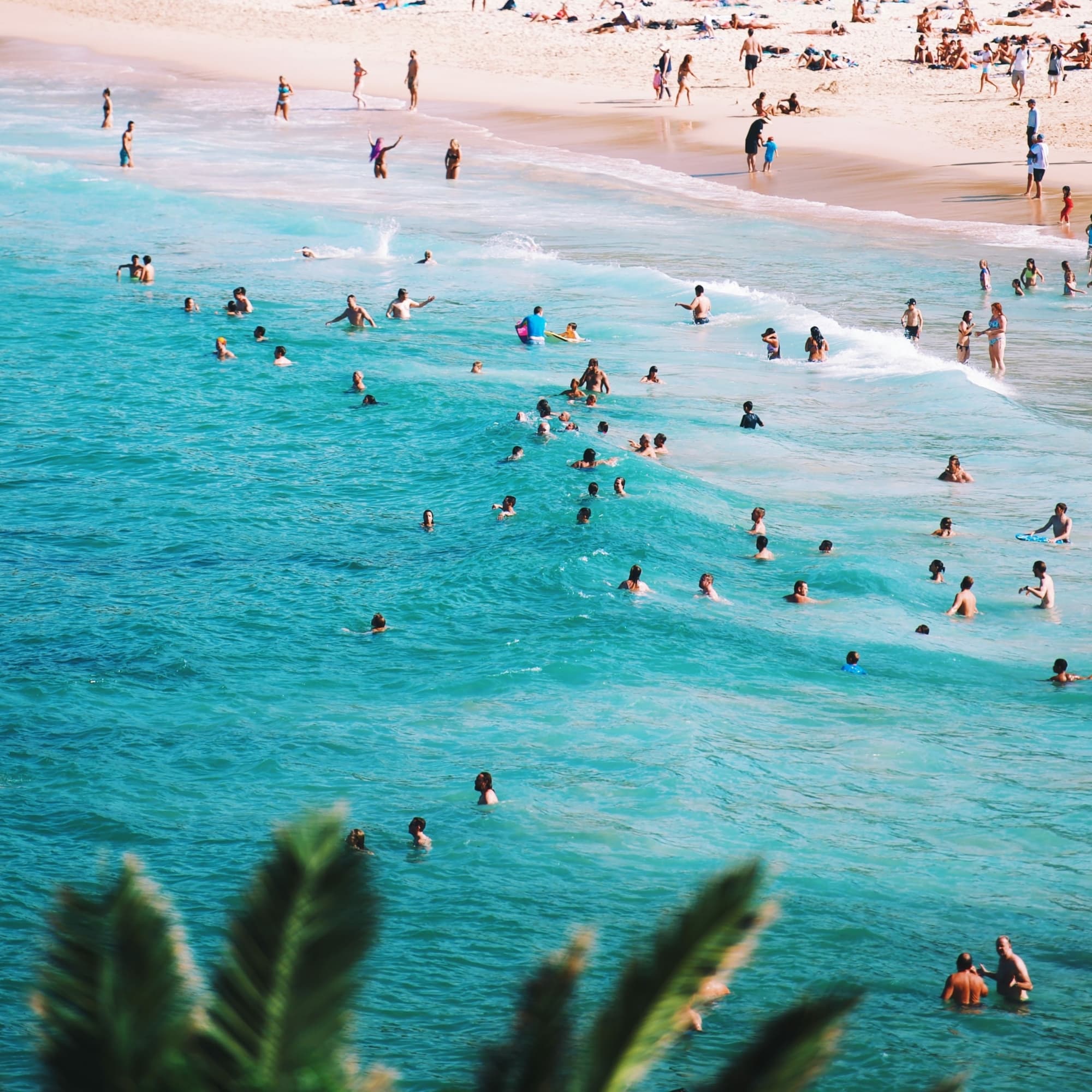 Your Coogee
