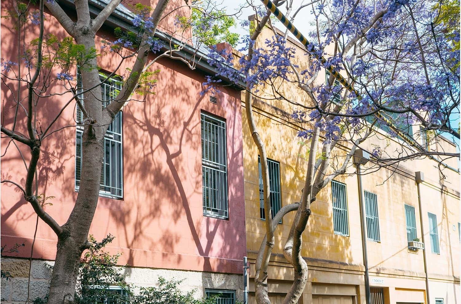 Your Surry Hills
